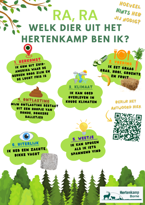 Alpaca (zonder poep ivm website)